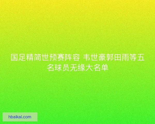 国足精简世预赛阵容 韦世豪郭田雨等五名球员无缘大名单